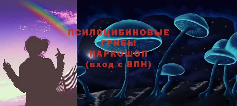 где продают   ссылка на мегу как войти  Псилоцибиновые грибы Psilocybe  Весьегонск 